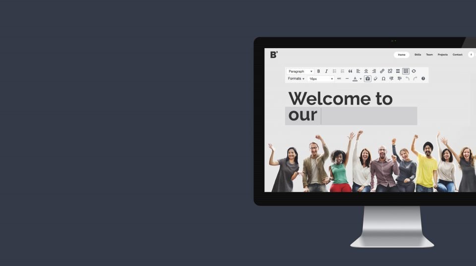 WebPRO<strong>y series</strong>